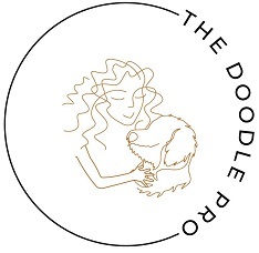The doodle pro