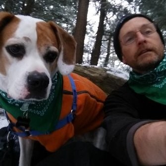 Green Bandana Dogs - Burlington, VT