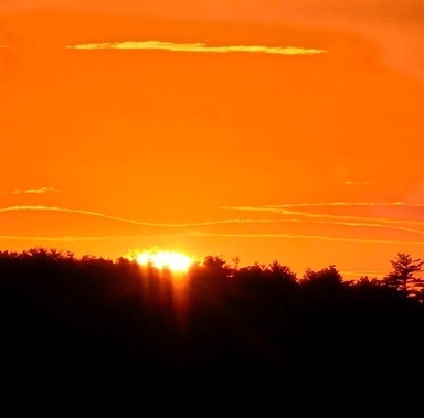 Michele pulchtopek 1