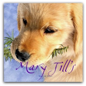 Pet Portrait Art - Mary Jill Lemieur Designs - Petoskey, MI