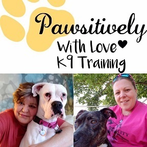 Pawsitively With Love K9 Training - Mt Morris, MI