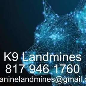 K9 Landmines - Pet Waste Removal Service - Joshua, TX