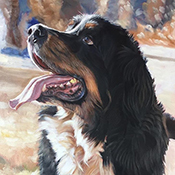 BFF Pet Paintings and Portraits by David Kennett - Nationwide