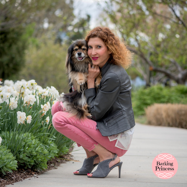 Barking Princess - Pet Massage - Pet Acupressure - Salt Lake City, UT