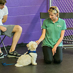 Opportunity Barks - Puppy and Dog Training - Philadelphia, PA