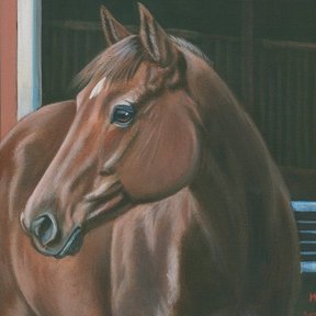 Custom Saddle Stands & Pet Portrait Paintings - Paris, TX -Paris, TX