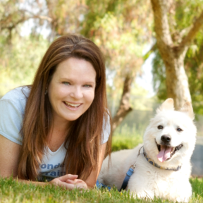 Wonder Dog Training - Private In Home Dog Training - Escondido, CA