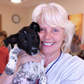 Unleashed My Dog - Certified Canine Trainer - Neenah, WI