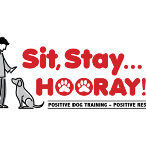 Sit, Stay... HOORAY!!! - Positive Dog Training Service - Loganville, GA
