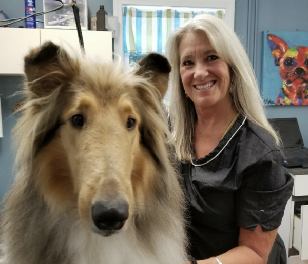 Hair of the Dog - Dog Grooming Service - Osterville, MA
