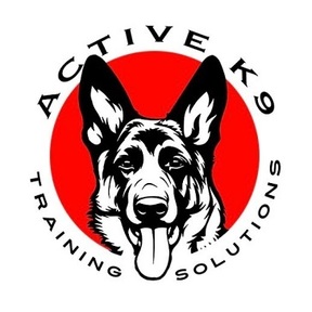 Active K9 In-Home Dog Training Solutions - Phoenix, AZ