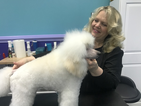 Love Fur Dogs - Dog Grooming Services - Glencoe, IL