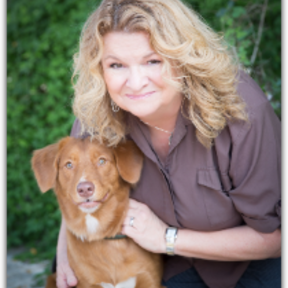 Hearts and Paws Dog Training - Austin, TX