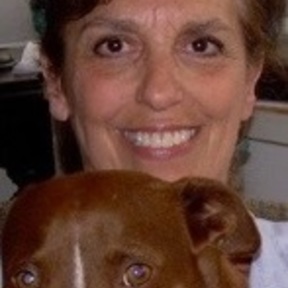 The Well-Heeled Dog, CPDT Certified Professional Dog Trainer - West Hollywood, CA