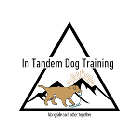 In Tandem Private In Home Dog Training  - East Moline, IL