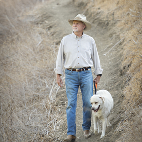 Lowe's Labs - In Home Private Dog Trainer - Yorba Linda, CA
