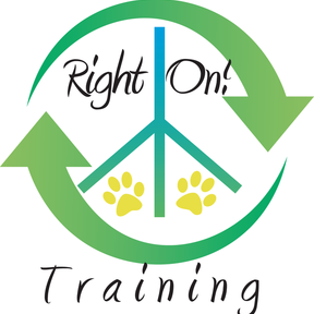 Right On Training - Professional Dog Trainers - Virginia Beach, VA