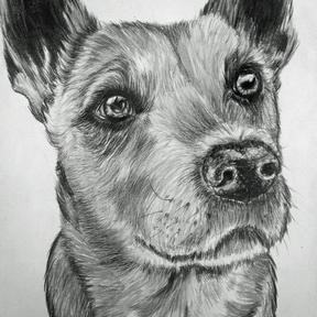 Is Your Pet Worthy of Being a Masterpiece? (YES!) - Brooklyn, NY