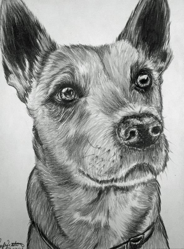 465433883 10226591858286851 8692312879928531112 n