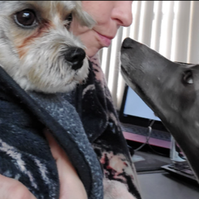 Carolee Barry - In Home Pet Sitting Services - New Port Richey, FL
