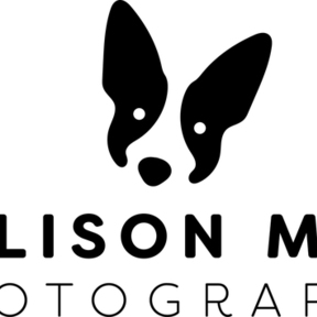 Allison Mae Pet Photography  - Denver, CO