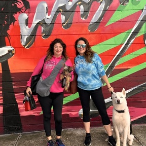 FurCab - Premium Pet Taxi Service - St. Petersburg, FL