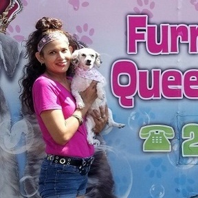 Furry Kings and Queens - Mobile Pet Grooming - San Antonio, TX