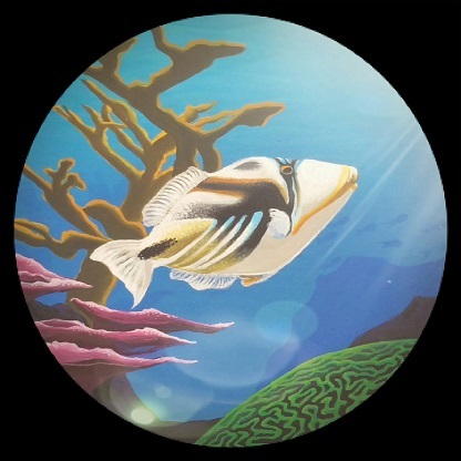 Reefer Madness - Aquarium Services - Lee, NV