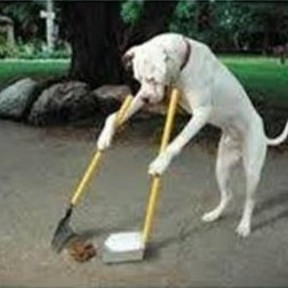 Carolina Pooper Scoopers - Pet Waste Removal Services - Nationwide