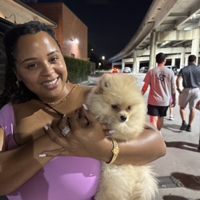 Private Door-to-Door Pet Transport + In-Cabin Flight Nanny | - Dallas, TX