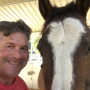 Pack Leader Dog Training & Equine Sports Massage - Escondido, CA