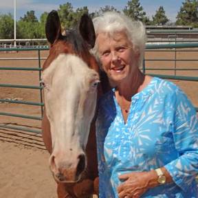 Collins Horse Ranch - Horse Boarding  - Hemet, CA