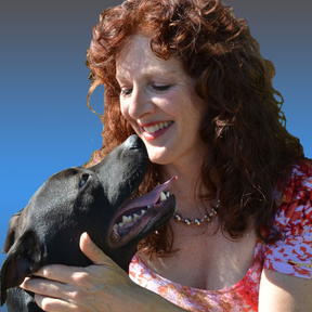 Dog Whisperer - Training For Aggressive or Anxious Dogs - Santa Barbara, CA