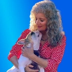 Dog Whisperer - Training For Aggressive or Anxious Dogs - Santa Barbara, CA