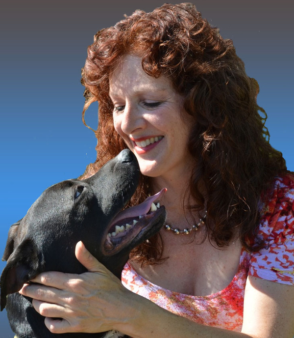 Dog Whisperer - Training For Aggressive or Anxious Dogs - Santa Barbara, CA