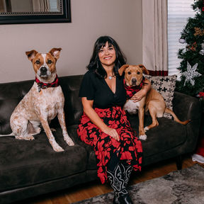 Rachel's Pet Care - Puppy Training  - Alamosa, CO