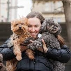 Rachel's Pet Care - Puppy Training  - Arvada, CO