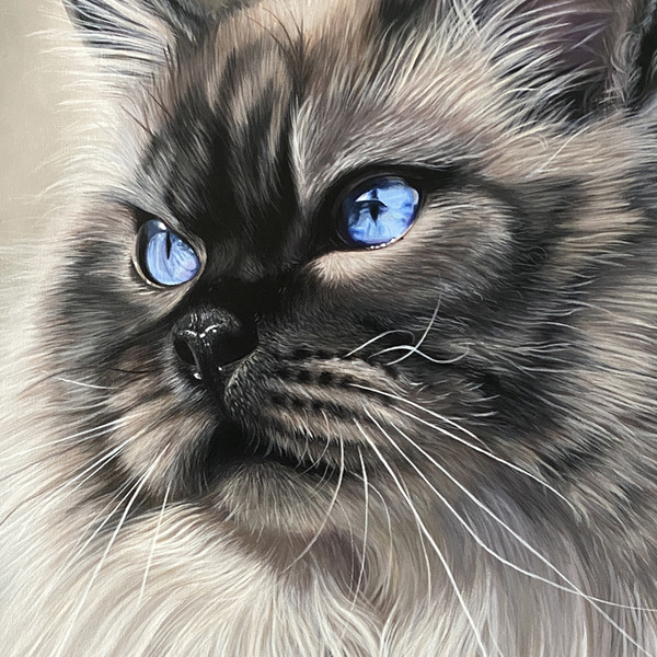 Custom Pet Portrait Paintings by Ginny Lasco - Nationwide
