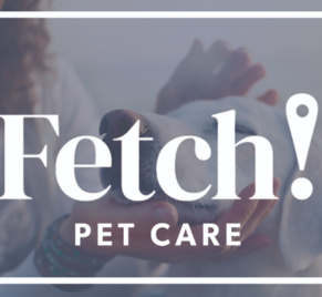 Fetch john neu