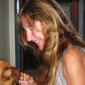 Karen Cares for Canine - Private Dog Trainer - Deerfield Beach, FL