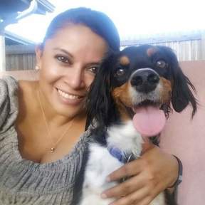 Rossys Pet Care Services - Dog Walking, Boarding, Daycare - Denver, CO