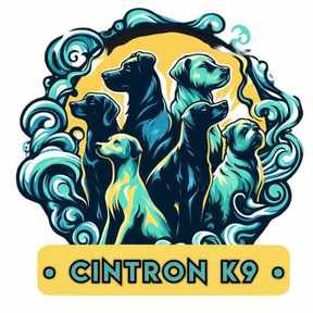 Cintron K9 Dog Training - Winchester, KY