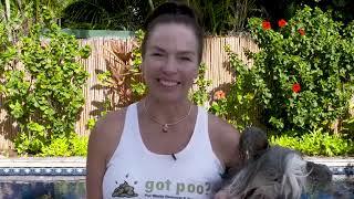 Got Poo? Pet Waste Removal & Pet Services - Kailua, HI