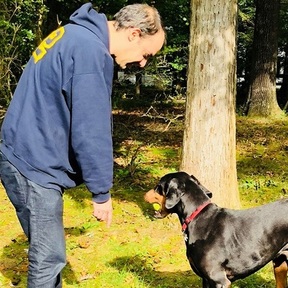 Tom's Private Dog Training - Bethesda, MD