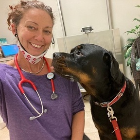 AcuVetDoc - Animal Chiropractic Care - West Palm Beach, FL