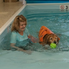 Warm Paws LLC - Pet Physical Therapy and Animal Rehab - Mooresville, NC