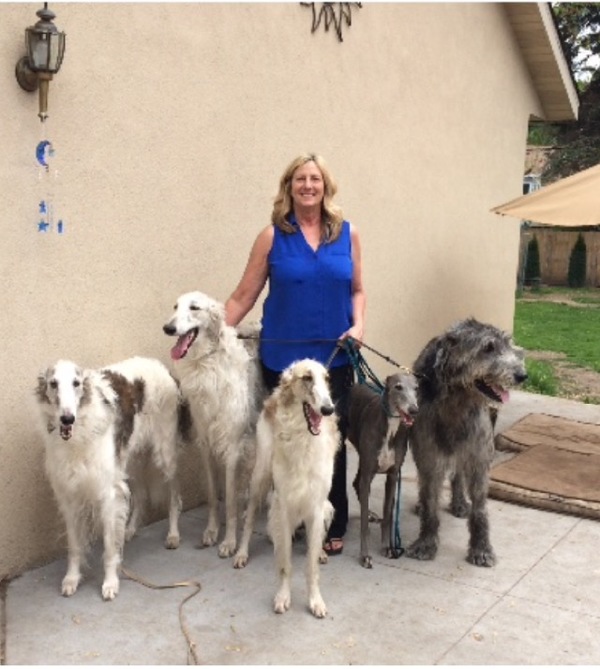 Rita and dogs ii