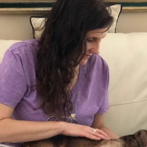 Paws and Tails Reiki & Therapeutic Animal Massage Care - Clearwater, FL