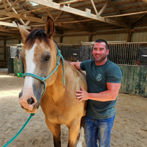 Board Certified Animal Chiropractor - Springdale, OH