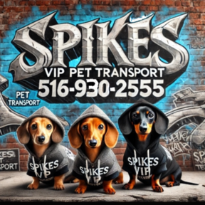 Spikes VIP Pet Transport  - Bellmore, NY